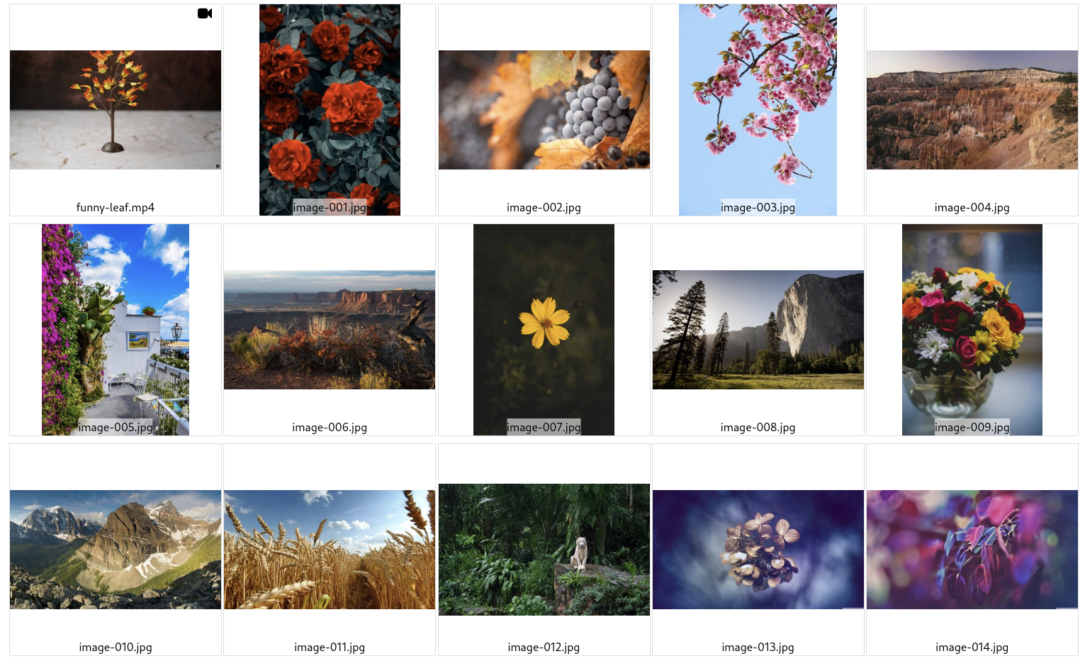 Auto-grid appearance