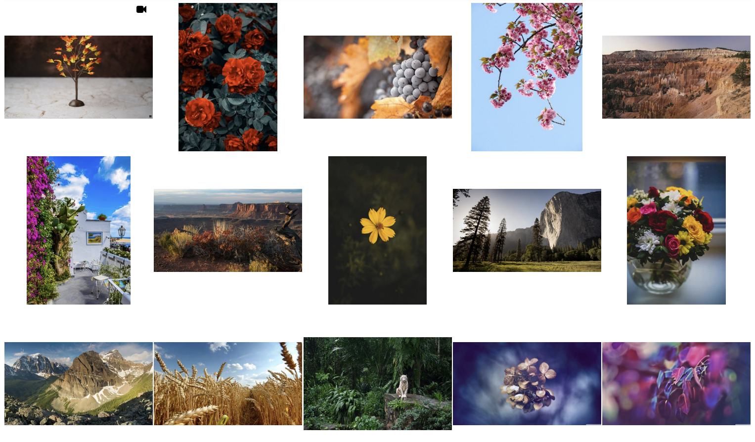 Nameless auto-grid appearance