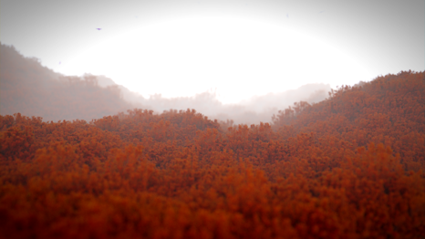 image-118.png