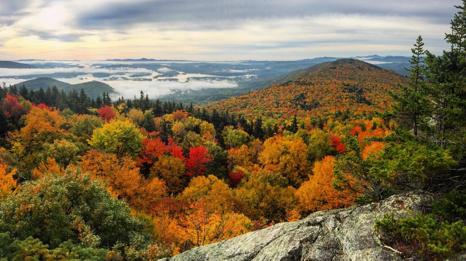 image-037.jpg