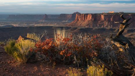 image-005.jpg